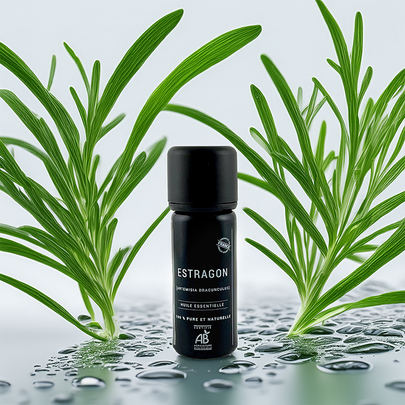 Huile Essentielle d'Estragon BIO - Made in France