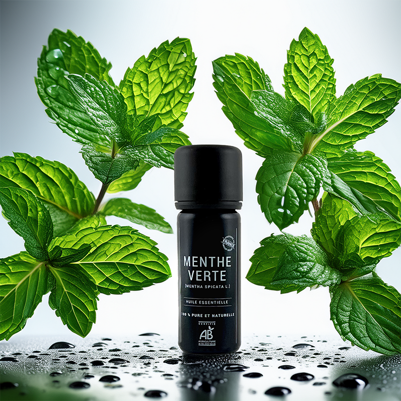 Huile Essentielle de Menthe Verte BIO - Made in France