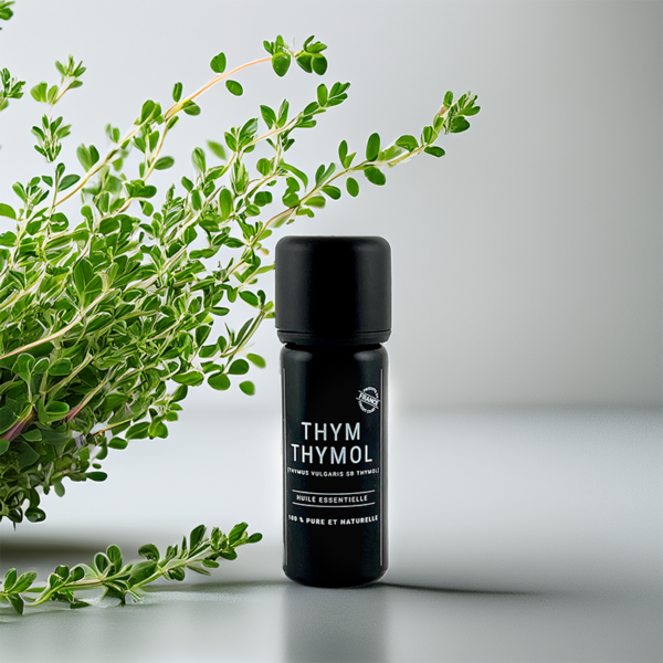 Huile essentielle de Thym à thymol