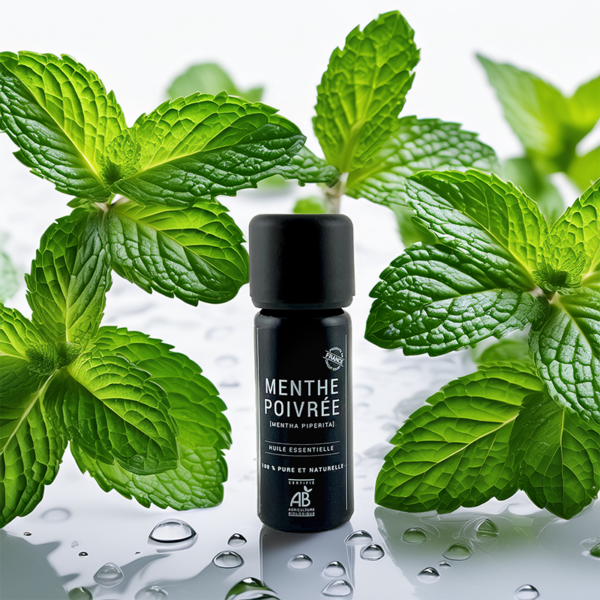 Huile essentielle de Menthe poivrée BIO