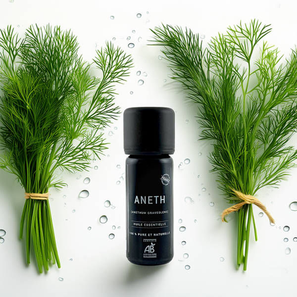 Huile essentielle d’Aneth BIO