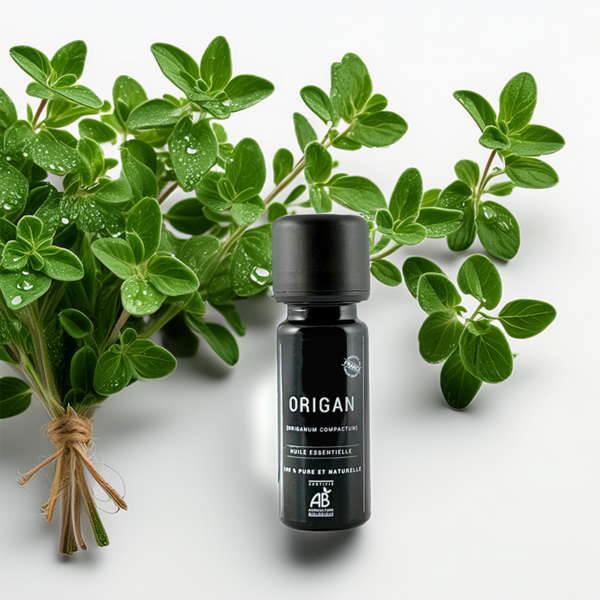 Huile essentielle d’Origan BIO