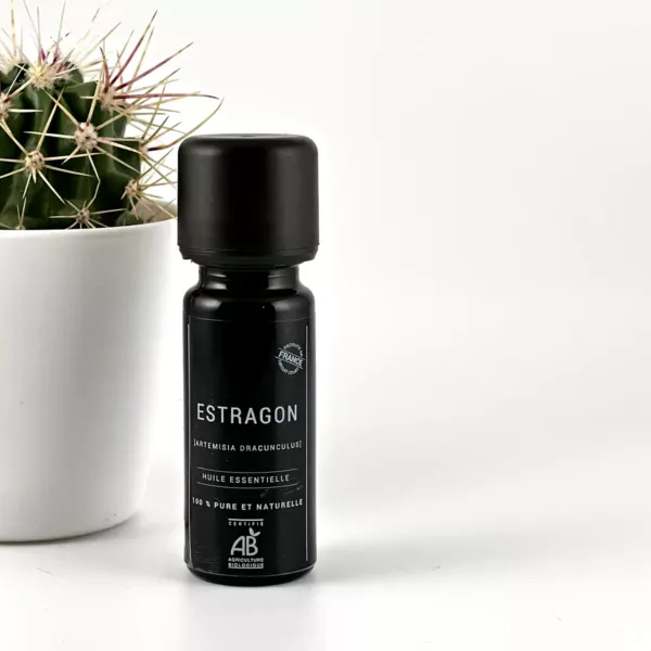 Flacon d’huile essentielle d’estragon BIO Olessen devant un cactus