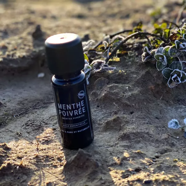 Flacon d’huile essentielle de menthe poivrée Olessen posé dans un champ de Foucrainville