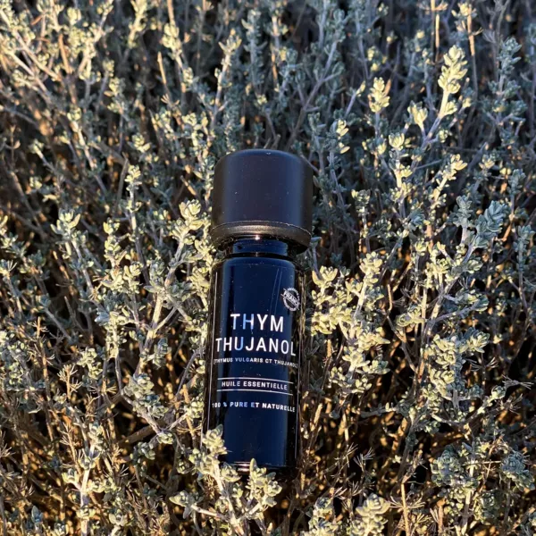 Flacon d’huile essentielle de thym à thujanol Olessen au milieu des pieds de thym